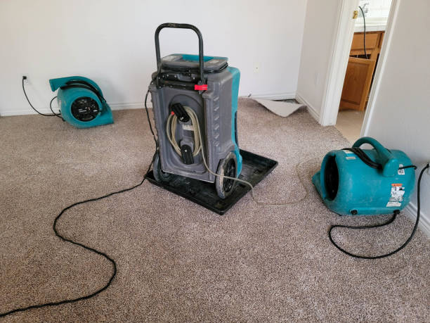 Best Water damage cleanup near me  in Columbus, MS