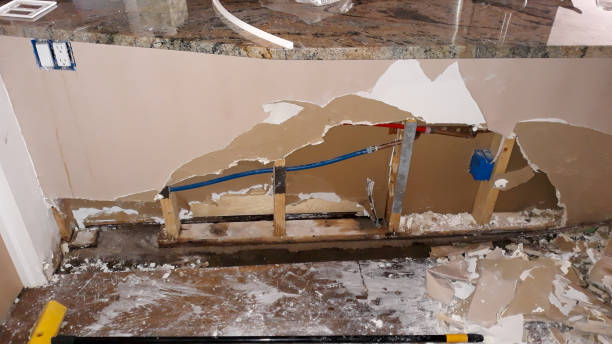 Best Basement water damage restoration  in Columbus, MS