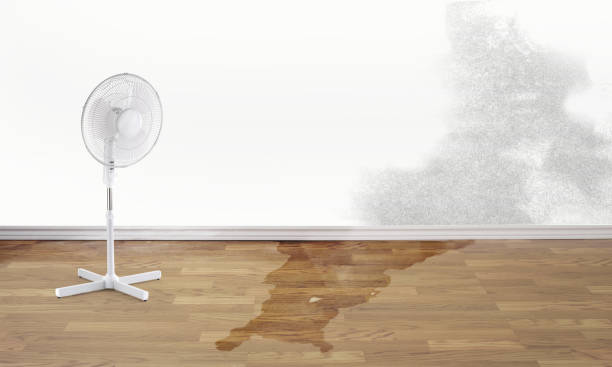 Best Flooded house restoration  in Columbus, MS
