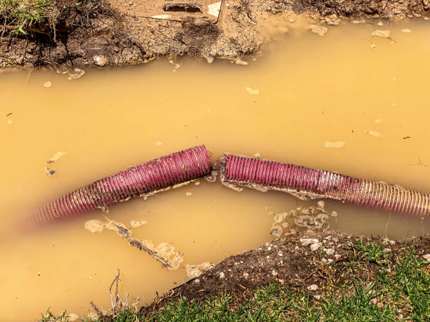 Best Water damage restoration experts  in Columbus, MS