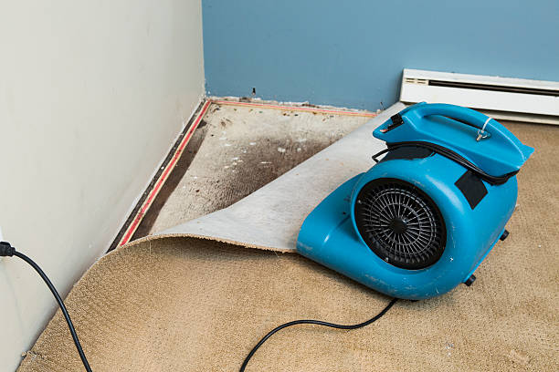 Columbus, MS Water damage restoration Company